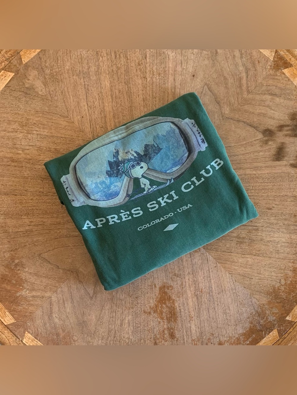 AE Pine Snoopy Apres Graphic Hoodie